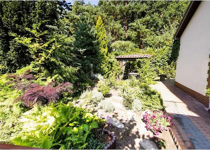 Uroczysko Pod Lasem Mikoszewo